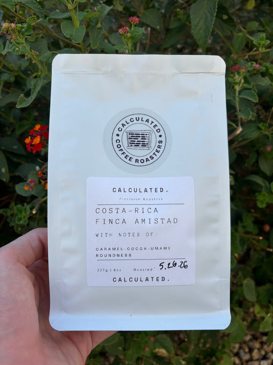 Costa Rica-Finca Amistad
